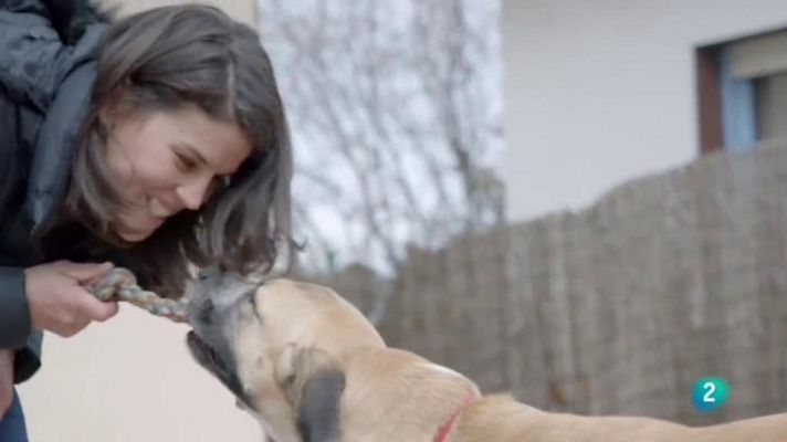 La meva mascota i jo - Els beneficis de l'equinoteràpia