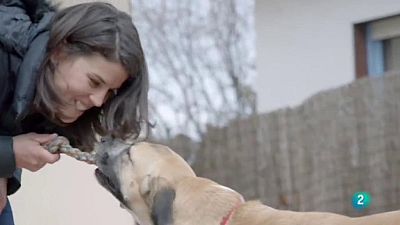 La meva mascota i jo - Els beneficis de l'equinoter�pia