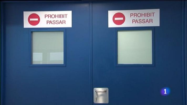 Informatiu Balear - Tancats els quiròfans de Can Misses per la presència de mosques