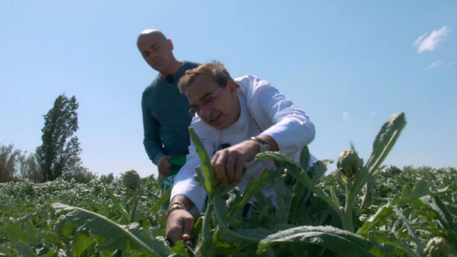 La reina de las menestras