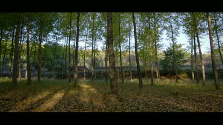 El paisano - Así comienza 'El paisano' en el pueblo de Torrellas