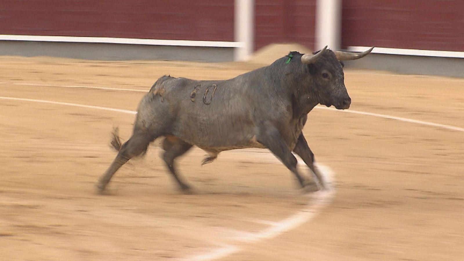 Tendido Cero - 09/06/18 - ver ahora