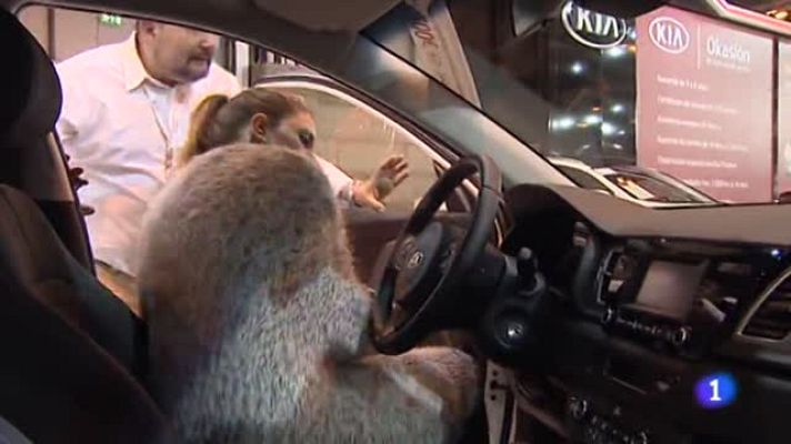 Telediario 1 - IFEMA acoge un año más la Feria del Automóvil