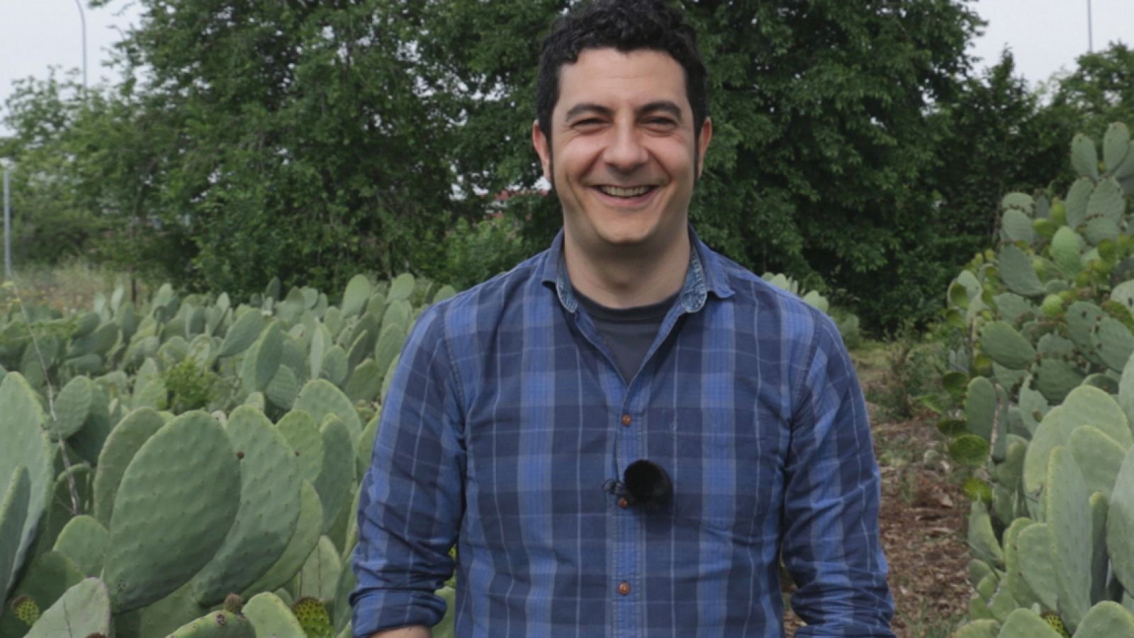 Alacarters - Aquí la Tierra - Ver ahora