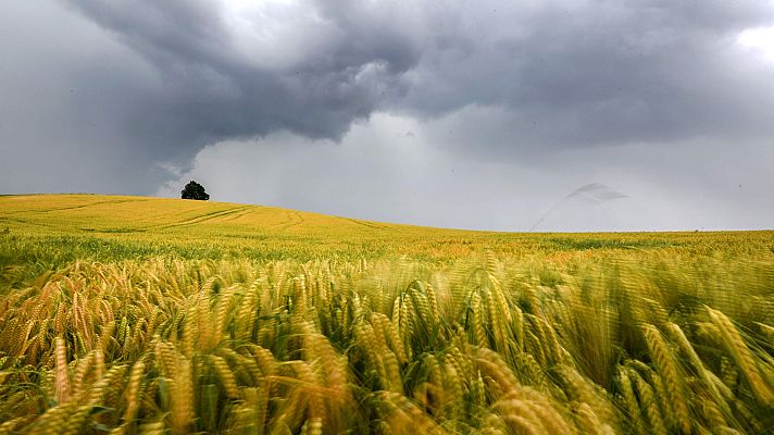 Informativo de Madrid - El Tiempo en la Comunidad de Madrid - 11/06/18