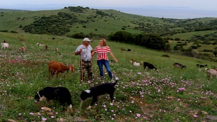 Aquí la Tierra - El cabrero de Bolonia