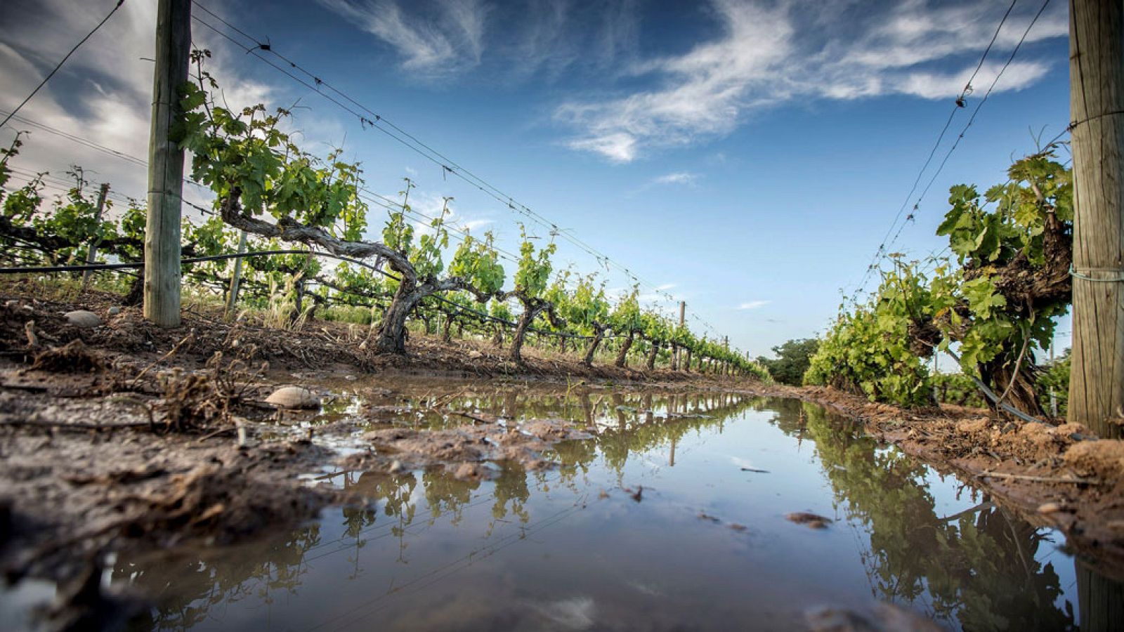 Tormentas en el Cantábrico y el noreste con temperaturas en descenso