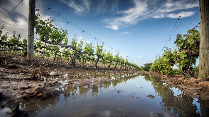 El tiempo - Tormentas en el Cantábrico y el noreste con temperaturas en descenso