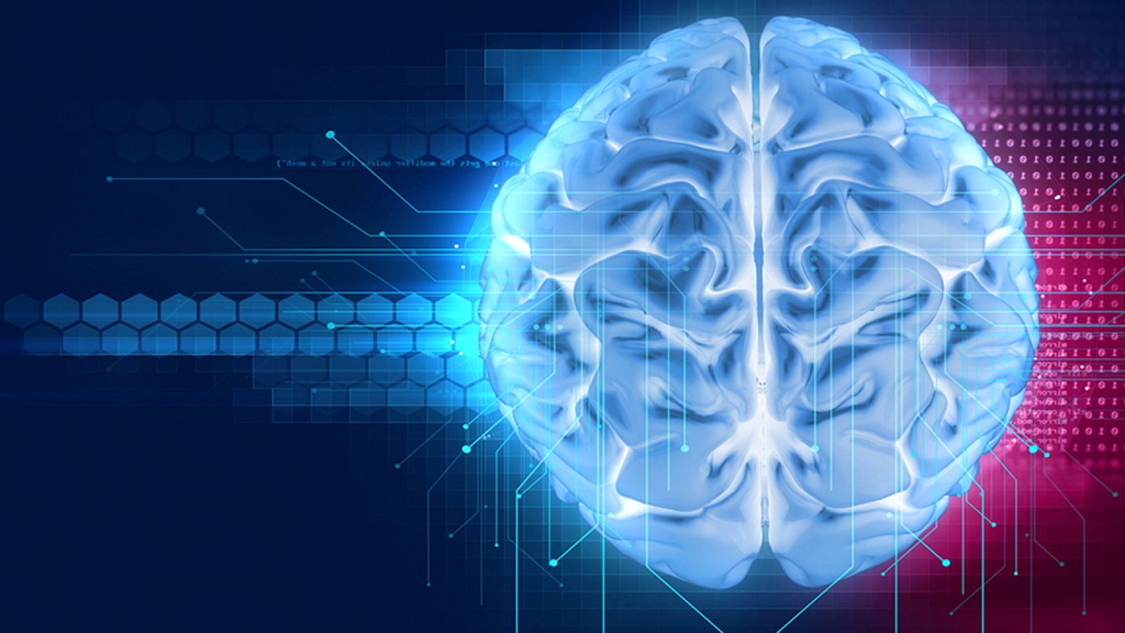 Documenta2 - Mi cerebro me obligó - ver ahora