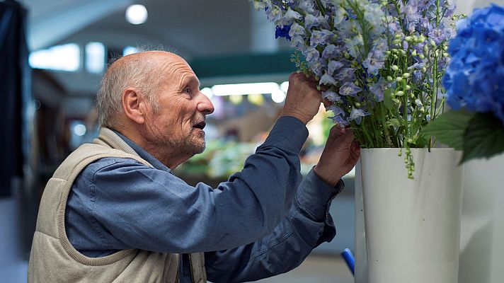 Telediario 1 - Antonio López, del color de las verduras, a la teoría del color en el XI Taller de Pintura de Maestros