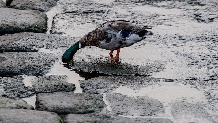 Informativo de Madrid - El Tiempo en la Comunidad de Madrid - 12/06/18