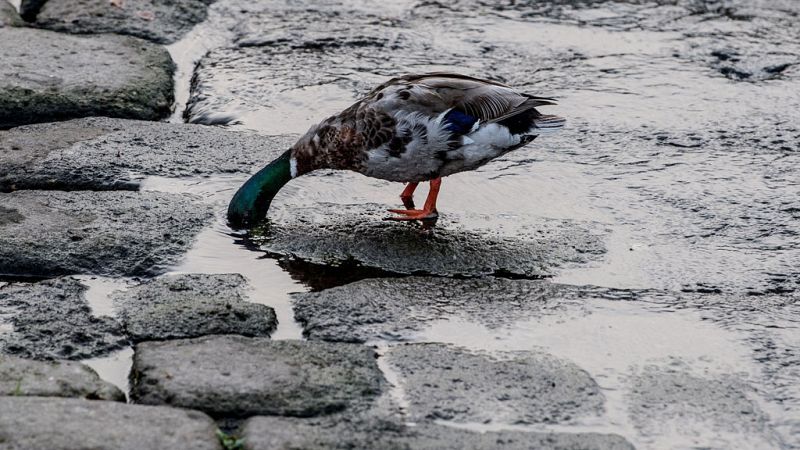 El Tiempo en la Comunidad de Madrid - 12/06/18