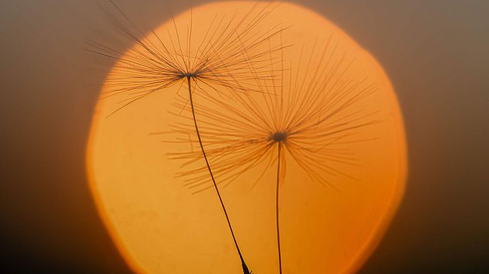 Informativo de Madrid - El Tiempo en la Comunidad de Madrid - 14/06/18