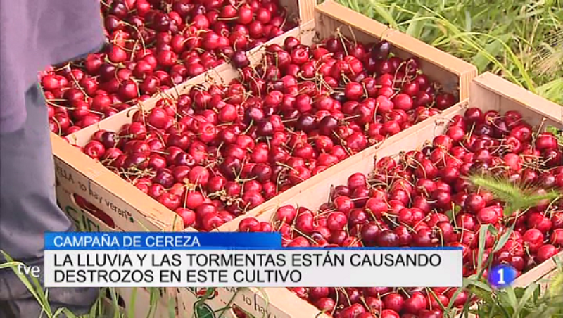 Telerioja en 2' - 15/06/18