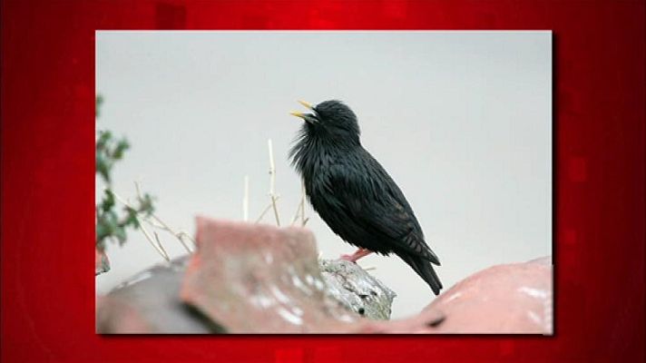 Saber y ganar - Saber y ganar - 15/06/18