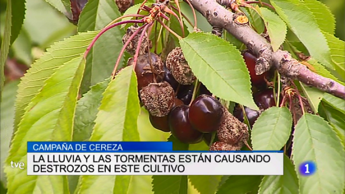 Informativo Telerioja - Informativo Telerioja 2 - 15/06/18