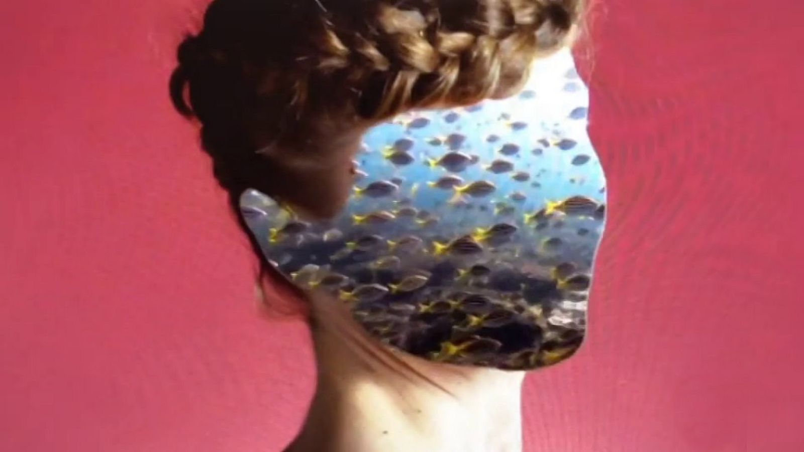 Cámara abierta - Guiones para el cambio, Tupper Disc Sessions, Exprime viajes y Raphaelle Giordano - ver ahora