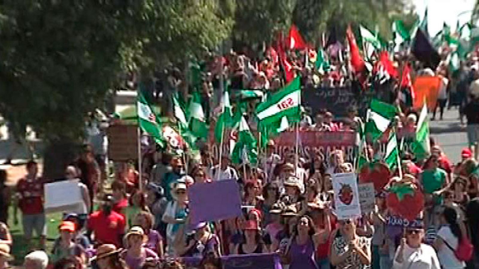 Manifestación en Huelva en apoyo a las temporeras de la fresa que denuncian acoso sexual