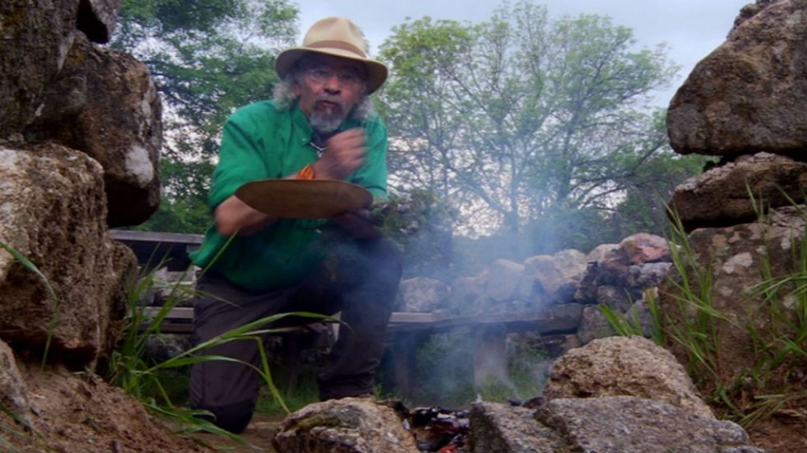 Plantas para dar la bienvenida al verano