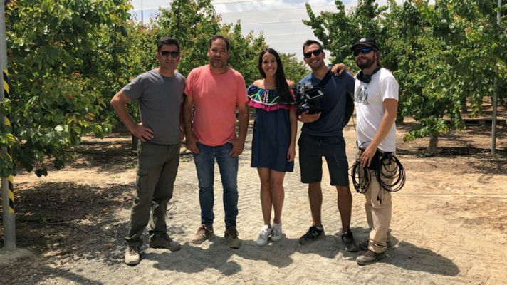 Aquí la Tierra - Albaricoque murciano