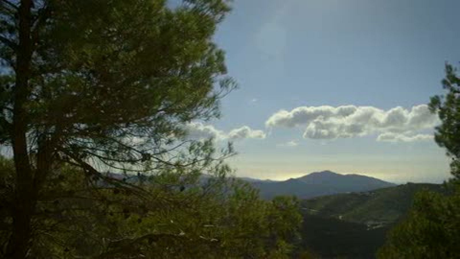 Los mejores momentos de 'el paisano' en el pueblo malagueño de Canillas