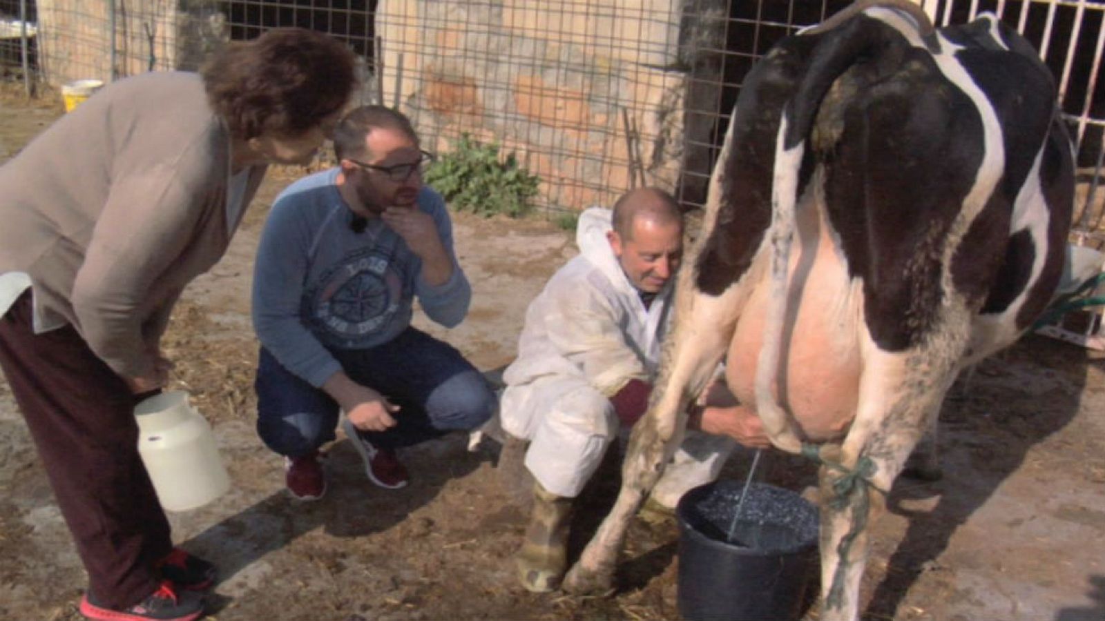 Con la leche, nada se deja al azar