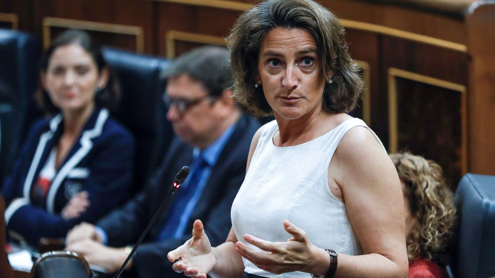 Teresa Ribera: nadie recurrió la Evaluación de Impacto Ambiental del proyecto Castor