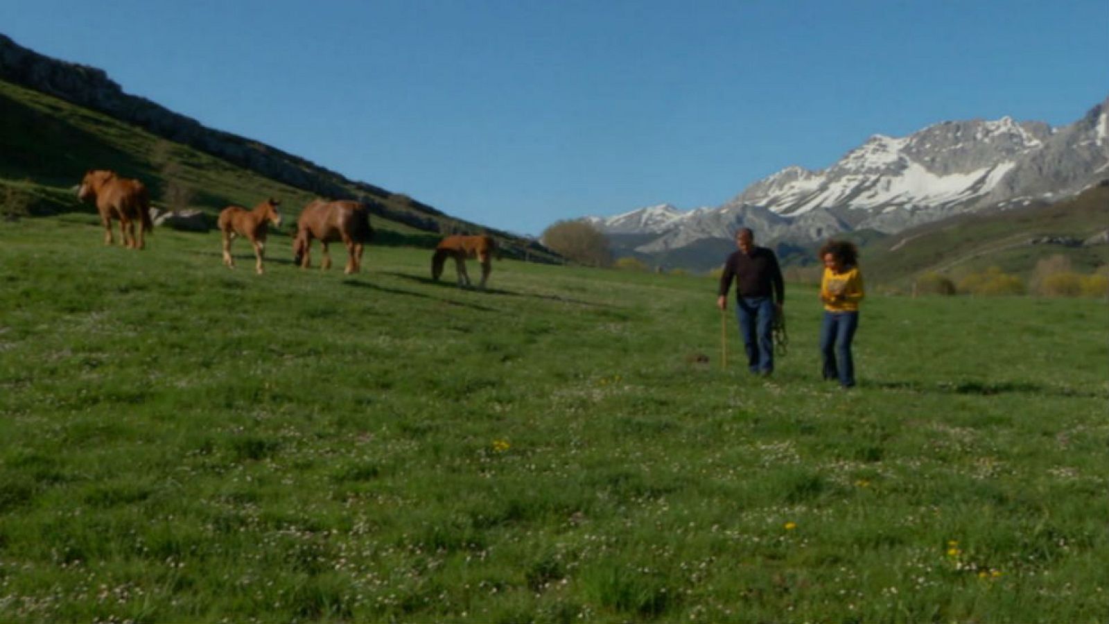 El futuro del hispano-bretón