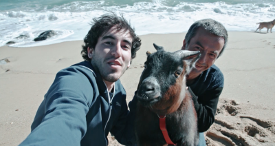 La rehabilitaci� dels primats maltractats a la Fundaci� Mona