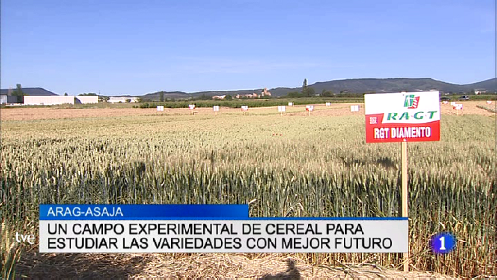 Telerioja en 2' - 21/06/18