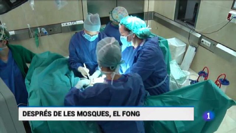 Informatiu Balear 2 - 21/06/18