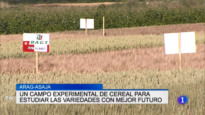 Informativo Telerioja - Informativo Telerioja 2 - 21/06/18