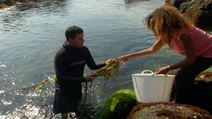 Aquí la Tierra - Las algas más veraniegas