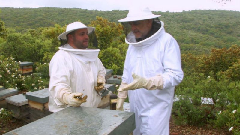 Aquí la tierra - Miel, ¡suavidad para la piel!