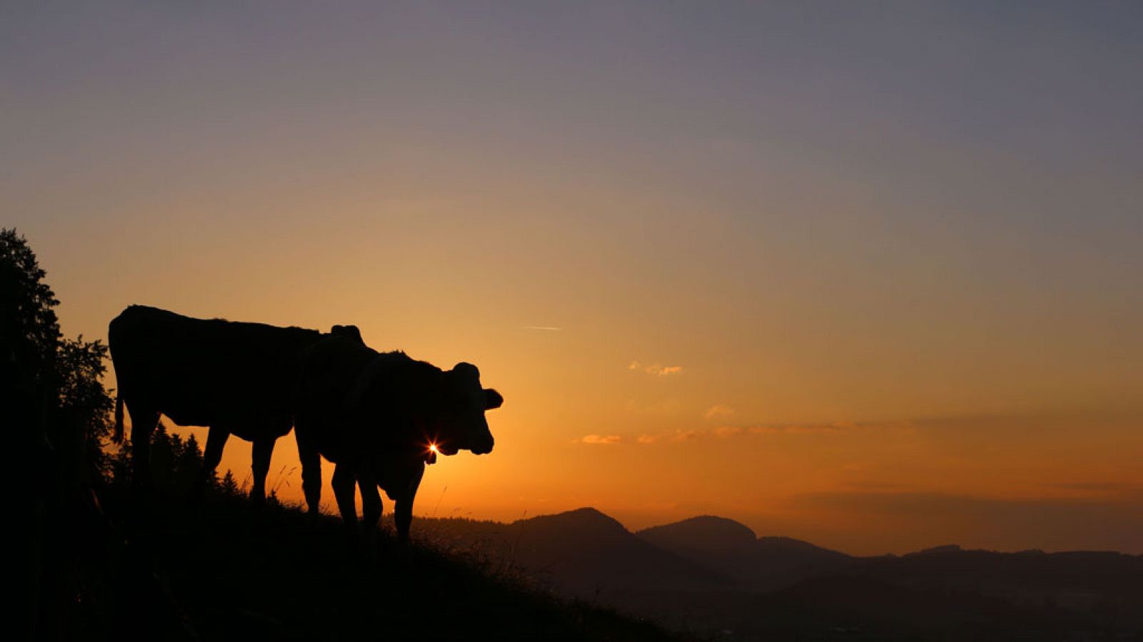 Temperaturas significativamente altas en el interior de Andalucía, en amplias zonas de ambas Mesetas y en la depresión del Ebro