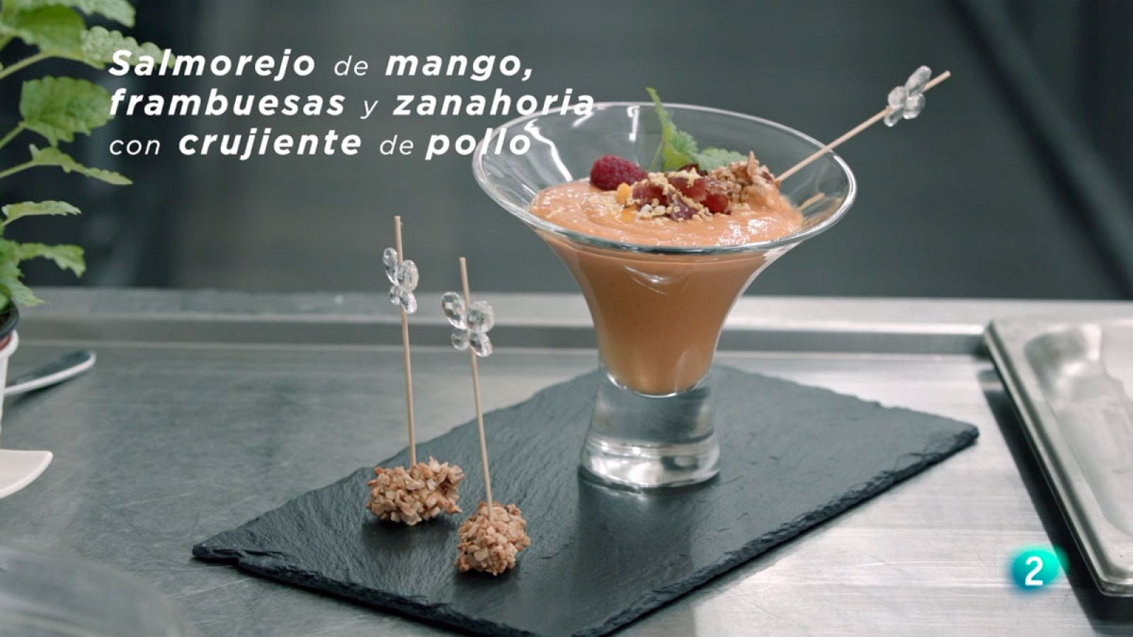 La ciencia de la salud - Salmorejo con crujiente de pollo