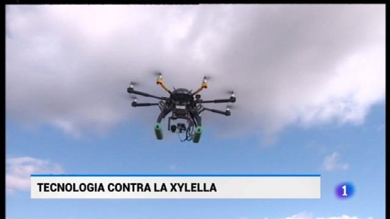 Informatiu Balear en 2' - 26/06/18