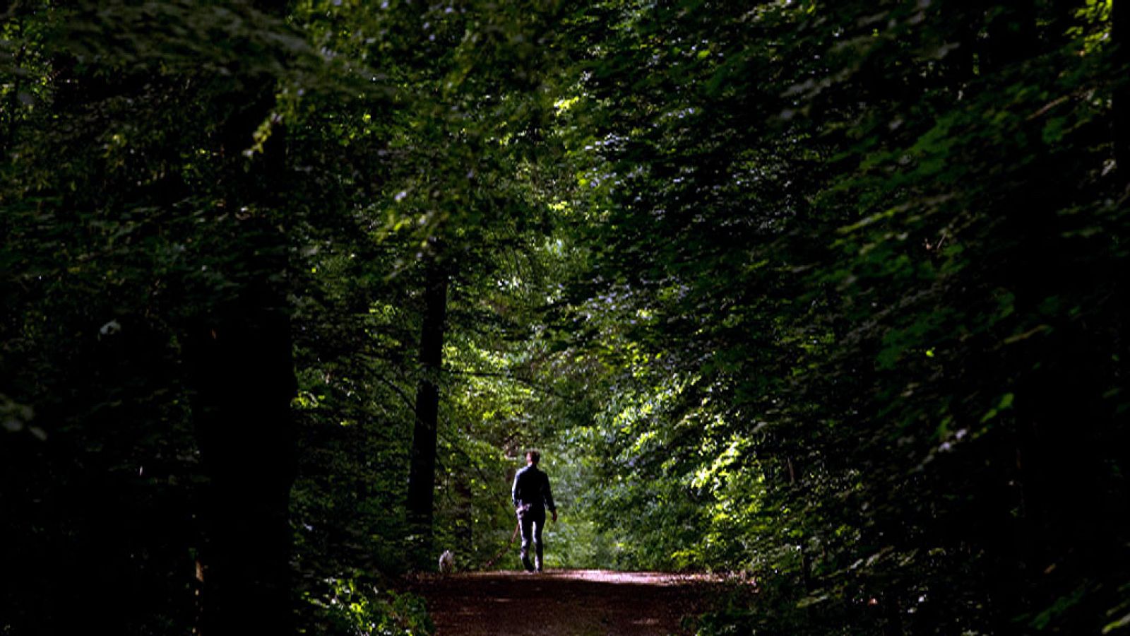 Chubascos que pueden ser localmente fuertes y acompañados de tormenta y granizo en puntos del norte de Castilla y León y del sistema Ibérico