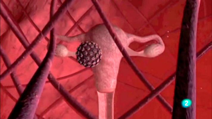 La aventura del Saber - Actividad de las Universidades Iberoamericanas.