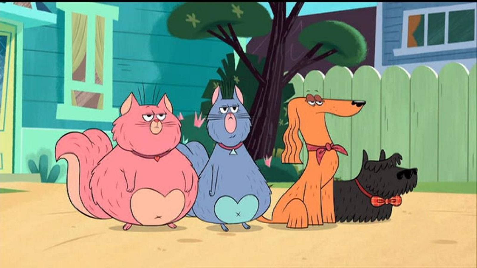 Como el perro y el gato - Zip Zip | Ver