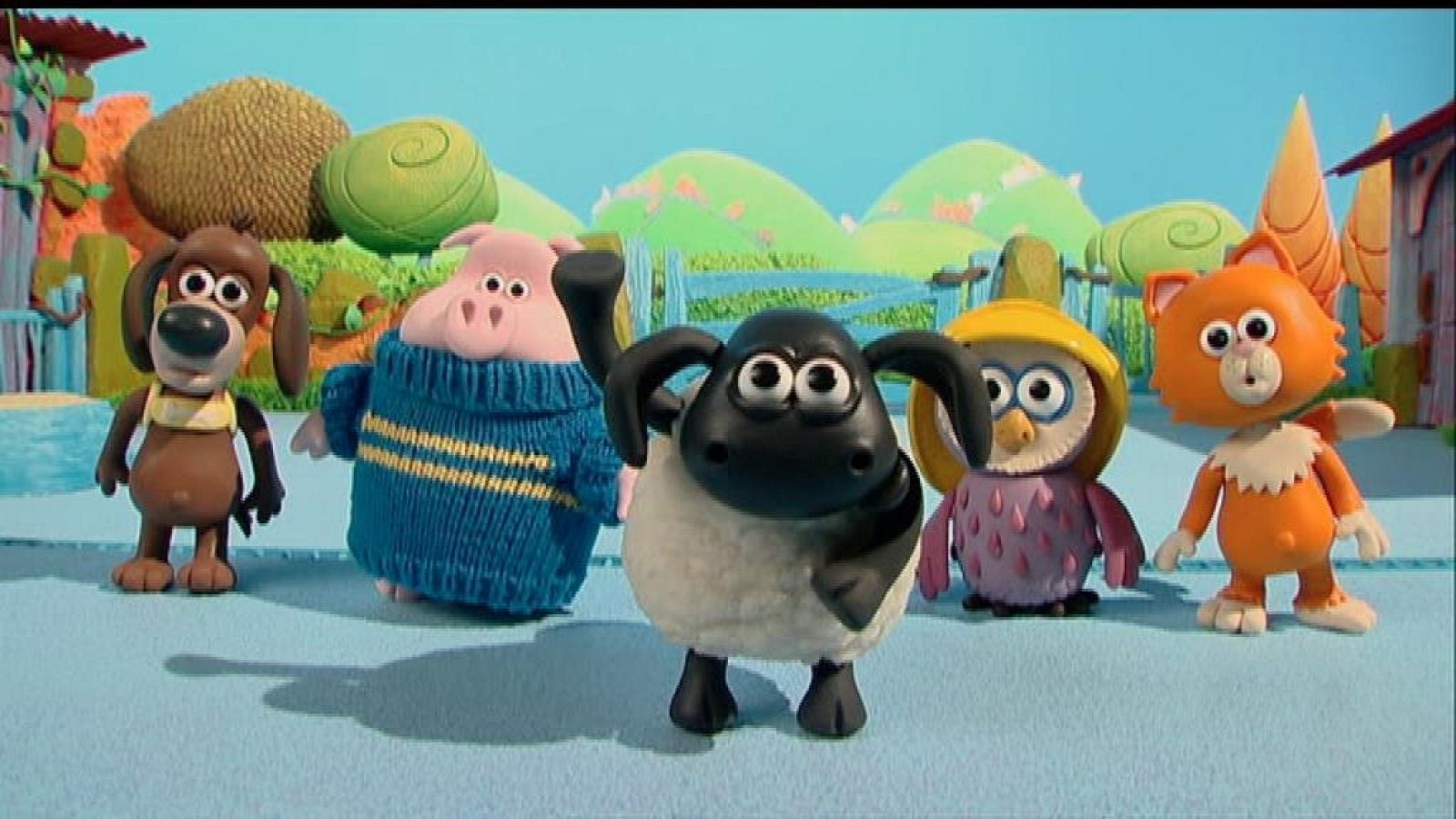 Timmy se disculpa - La hora de Timmy | Ver