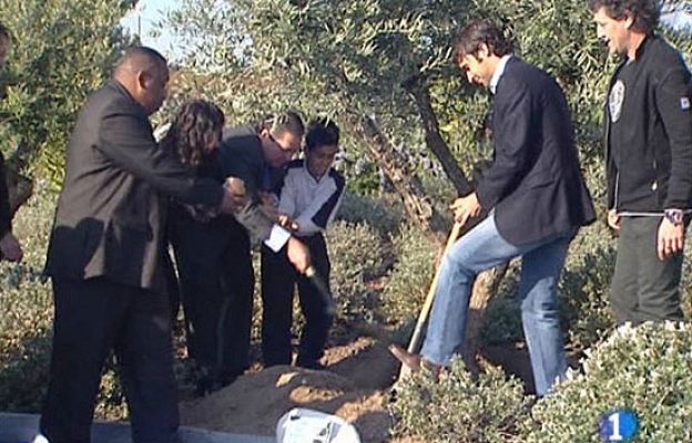  - Boluda planta un olivo