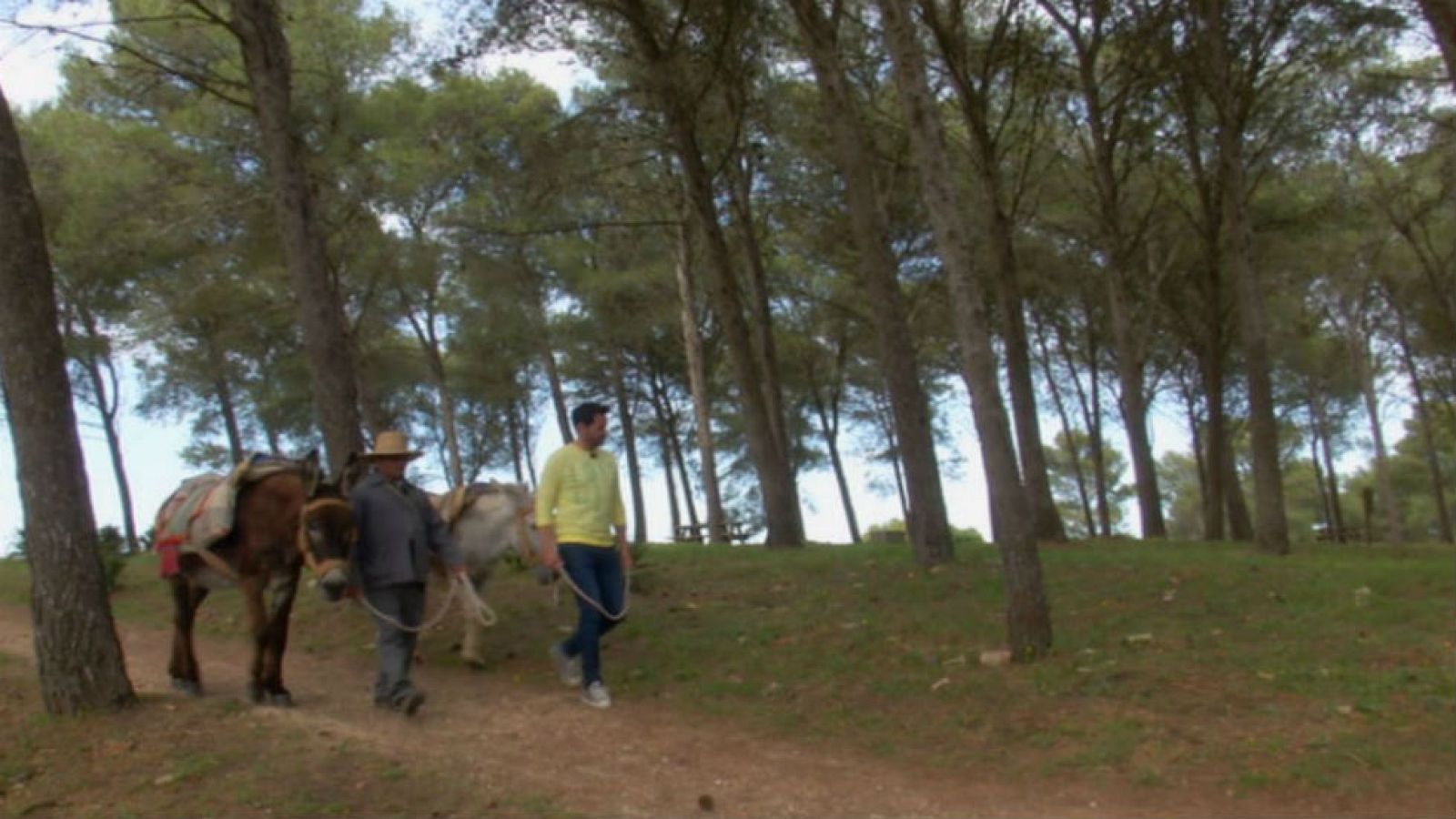 Juanino, el rey de la sabiduría popular
