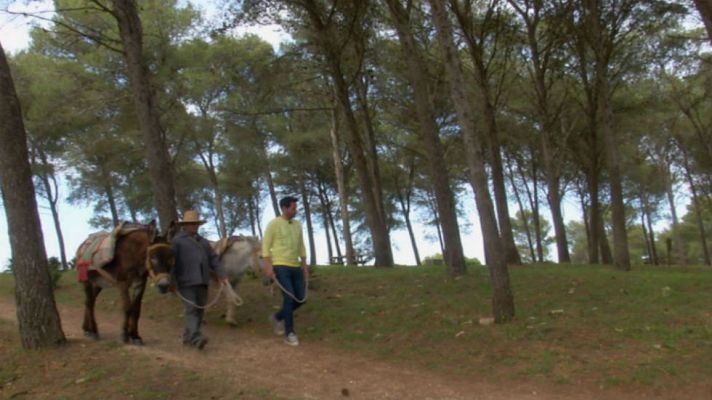 Aquí la Tierra - Juanino, el rey de la sabiduría popular