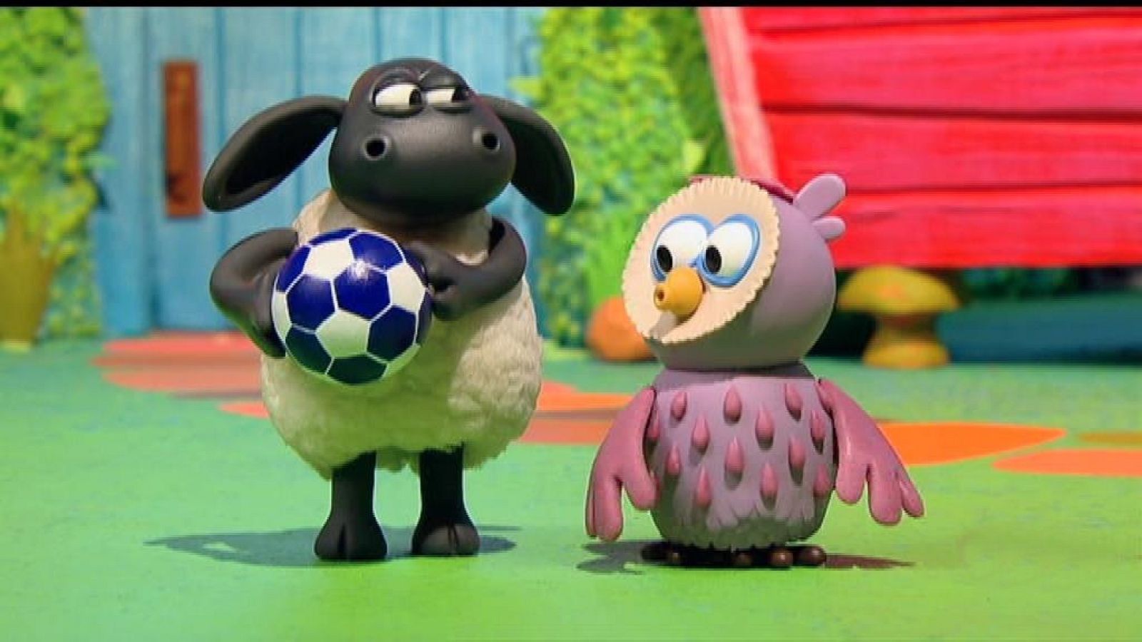 Timmy juega a la pelota - La hora de Timmy | Ver