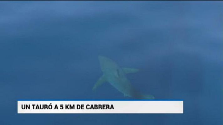 Informatiu Balear - Informatiu Balear - 29/06/18