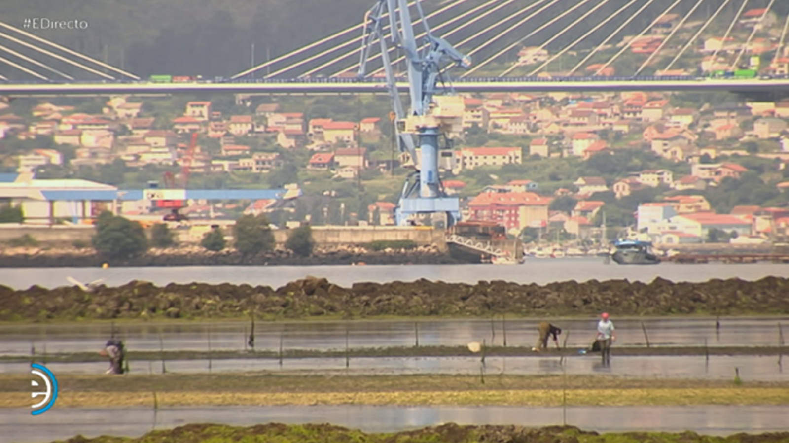 España Directo - 29/06/18 - ver ahora