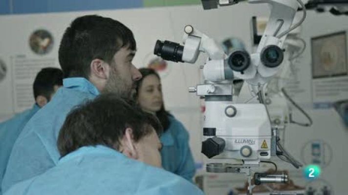 La ciencia de la salud - Cuidar tu vista