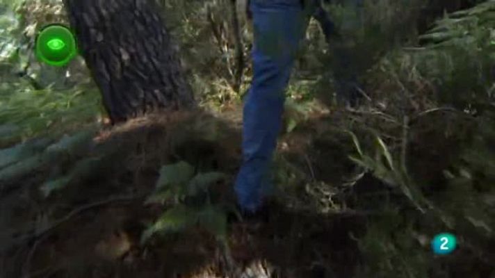 Agrosfera - Proyecto Mosaico