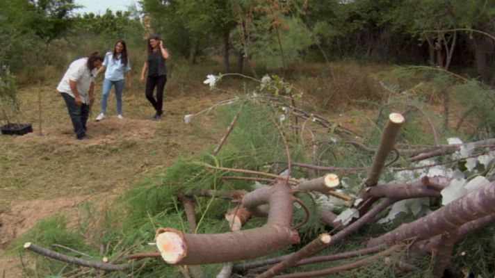 Aquí la Tierra - ¿Cómo cuidar un río?